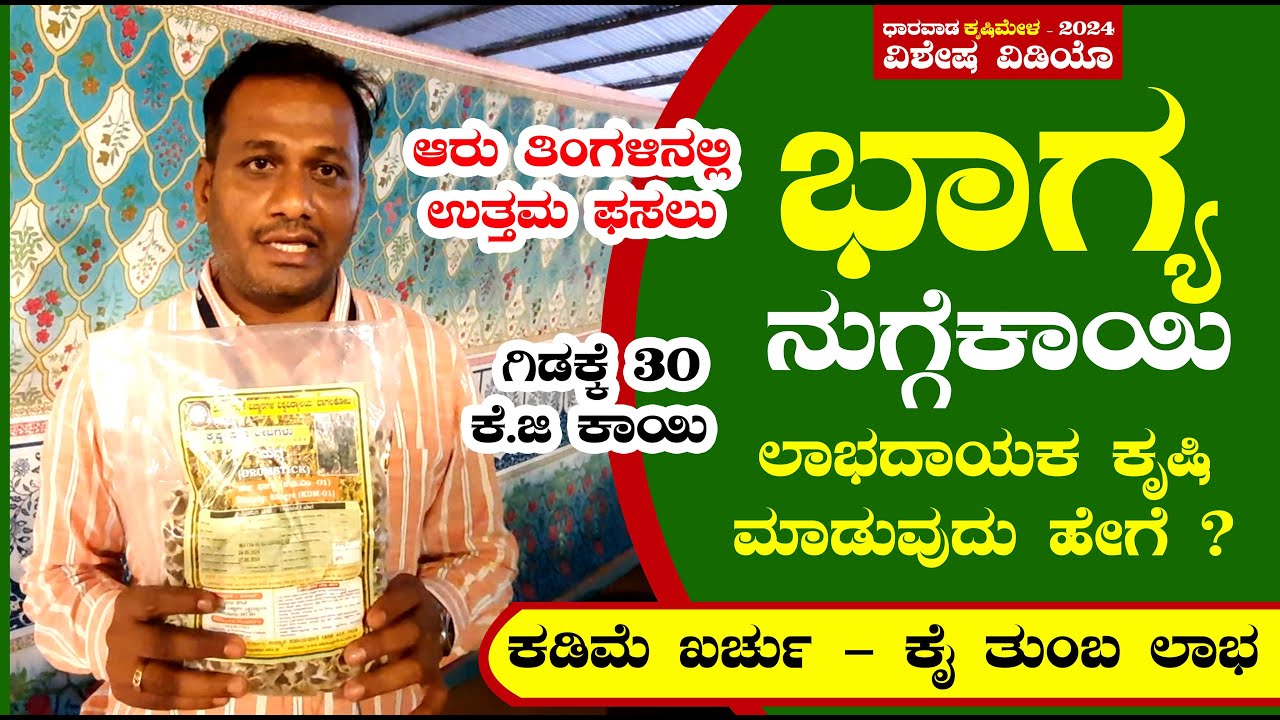 ಲಾಭ ನೀಡುವ ಭಾಗ್ಯ ನುಗ್ಗೆಕಾಯಿ | ಕೃಷಿ ಹೇಗೆ | ಬಾಗಲಕೋಟೆ ತೋಟಗಾರಿಕೆ ವಿಶ್ವವಿದ್ಯಾಲಯ | Drumstick Farming