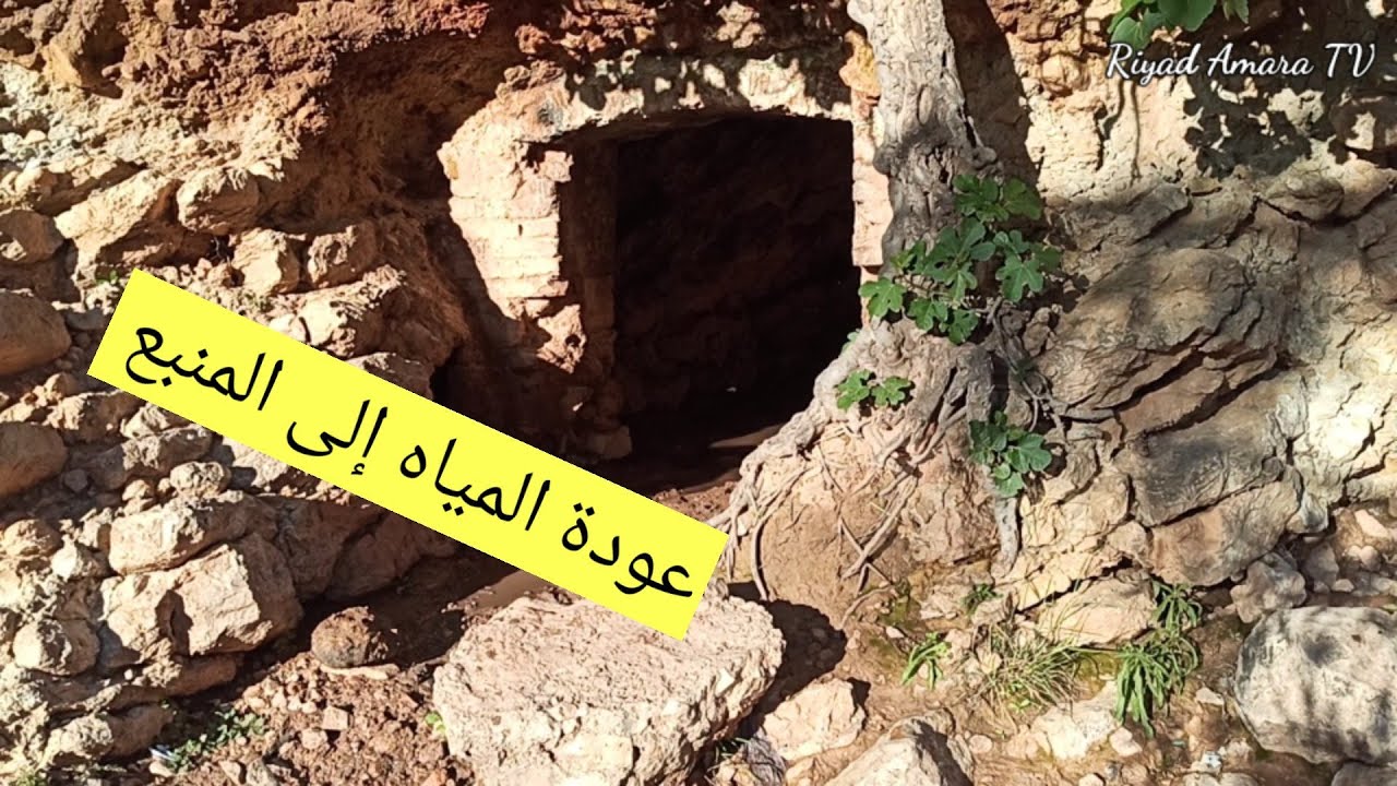 لن تصدق كيف اصبحت لاله ريعة