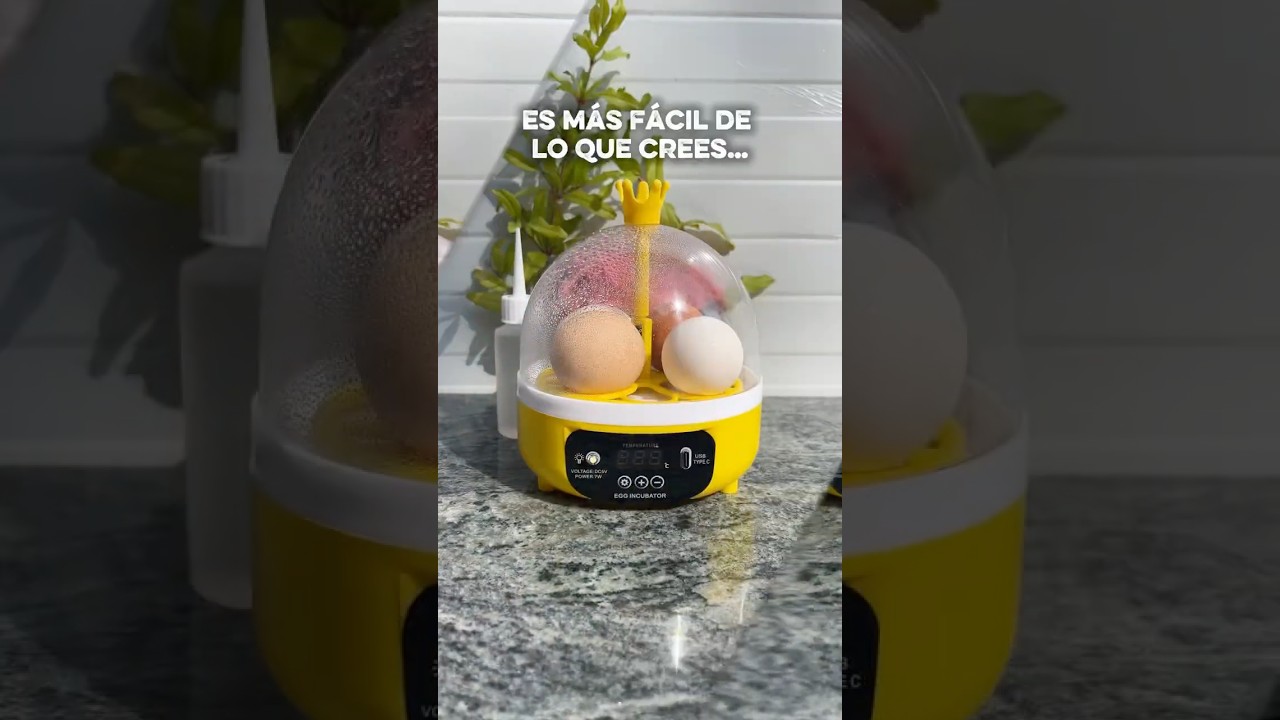 Lo que uso para que siempre nazcan sanos 🐣💛