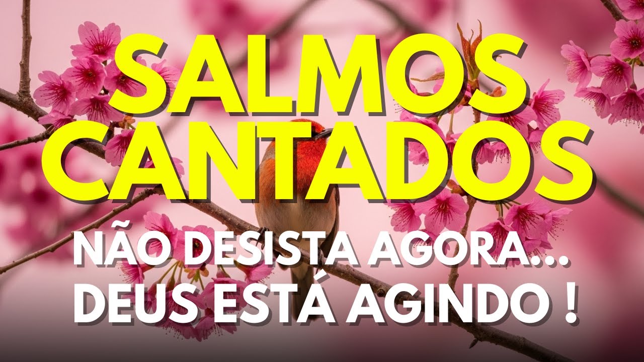 1 Hora de Salmos Cantados Para Acalmar a Alma – Creia e Confie em Deus | Salmos de Oração