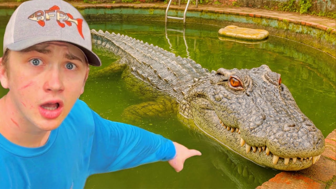 I Found an Alligator in an Abandoned Pond!