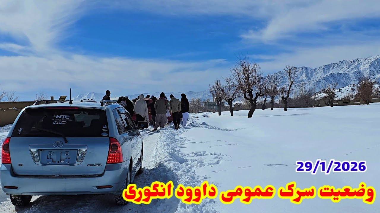 وضعیت سرگ عمومی داوود انگوری /, وضعیت بازار انگوری  