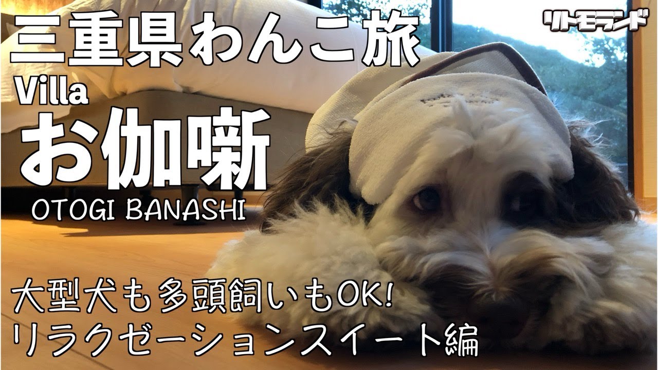 【愛犬と旅行】三重県Villaお伽噺は大型犬も多頭飼いも宿泊OK！なワンコファーストなお宿だった！