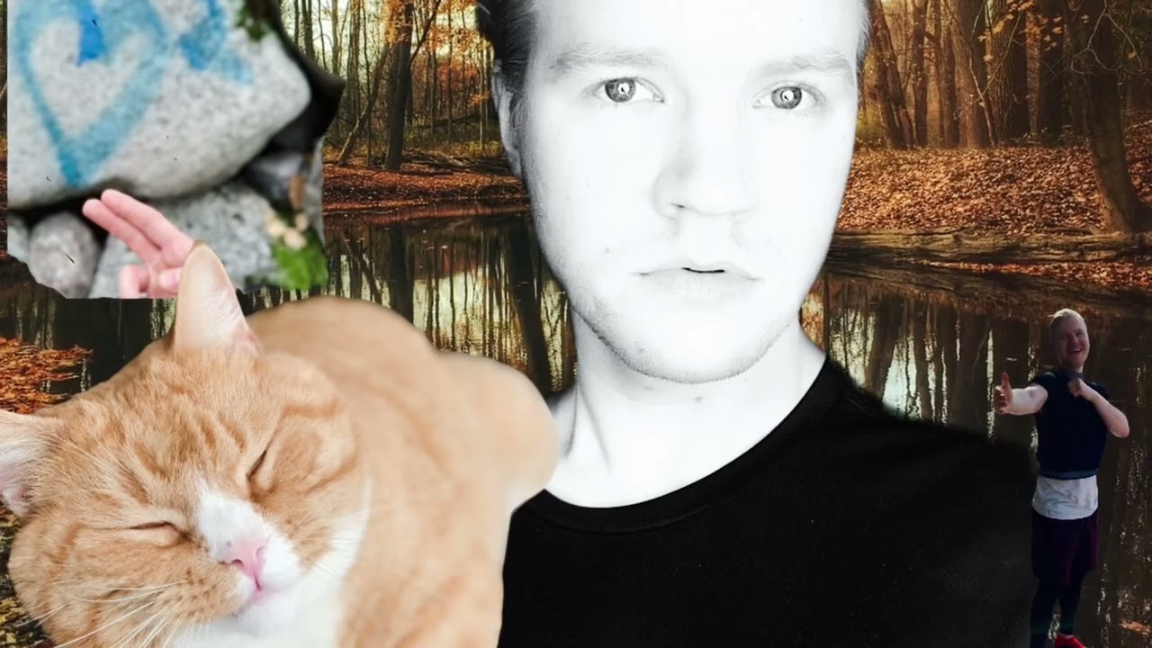 Pet friends