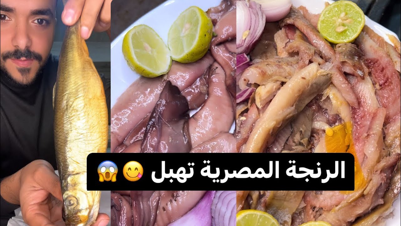 دايما كاين علامة استفهام على الرنجة و الفسيخ راني جبتلكم الرنجة المصرية 😂😭😱🇪🇬