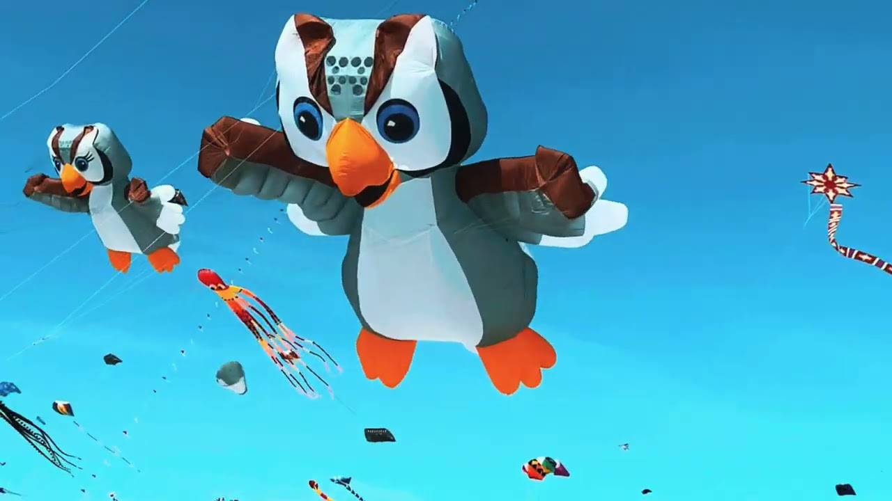🪁Fanø Kite Festival 2025 | Europe’s Most Colorful Kite Show 🎉🎊