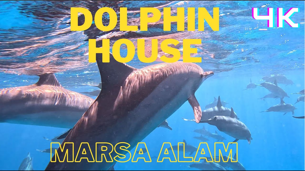 Dolphin House - Marsa Alam (Shaab Samadai )