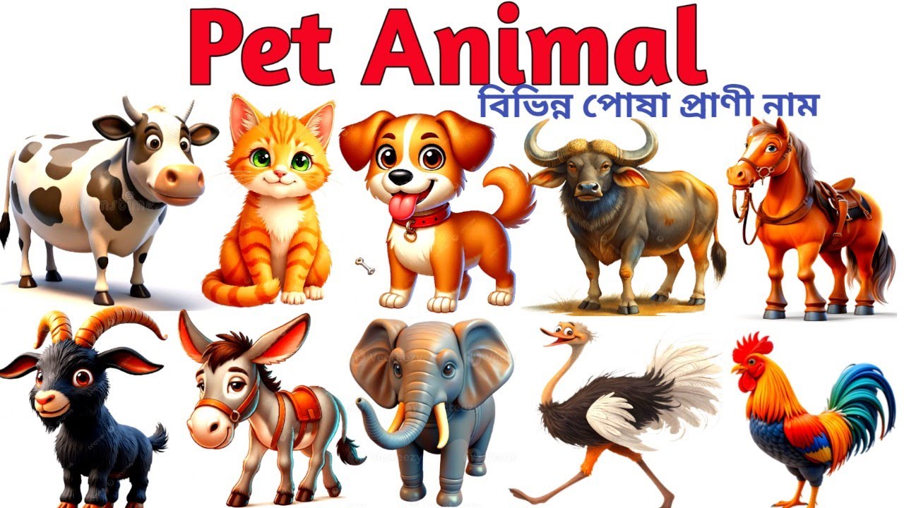 Pet animal name | pet animal name for kids |বিভিন্ন পোষা প্রাণী নাম বাংলা এবং ইংরেজিতে | pet animal