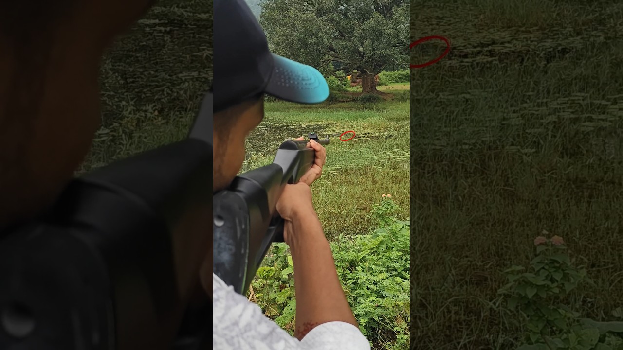 shooting nitro air rifle #airgun #pelletguns  #airriflepromo #shortsviral