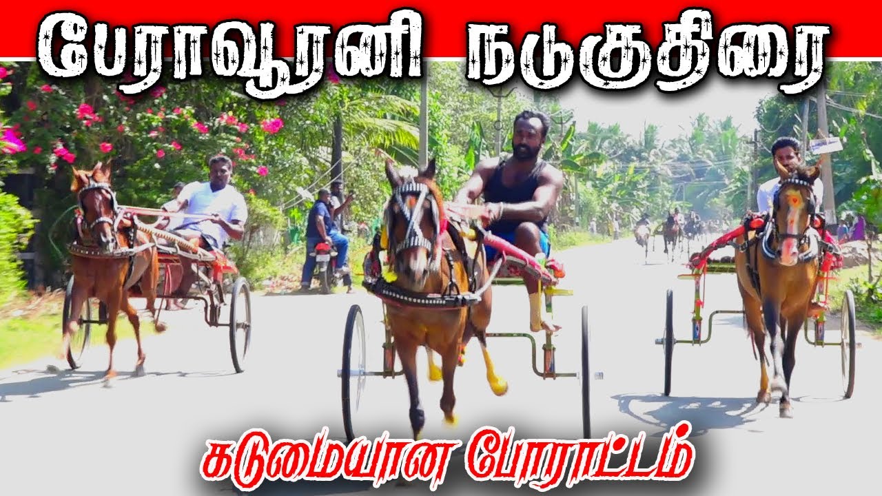 3தஞ்சாவூர் [மா]-பேராவூரணி-25ஆயிரம்-.27.01.2023