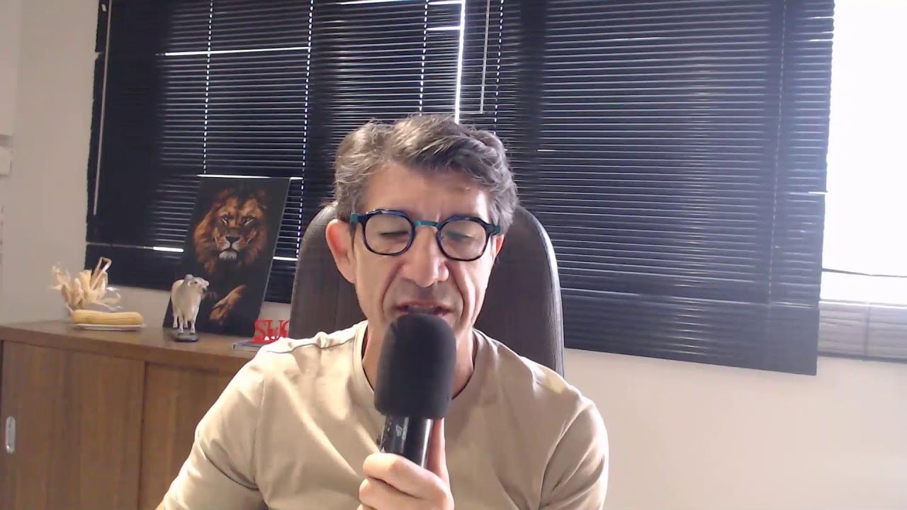 Milho & Boi - Para onde podem ir os Preços Futuros na B3 12/02/2026