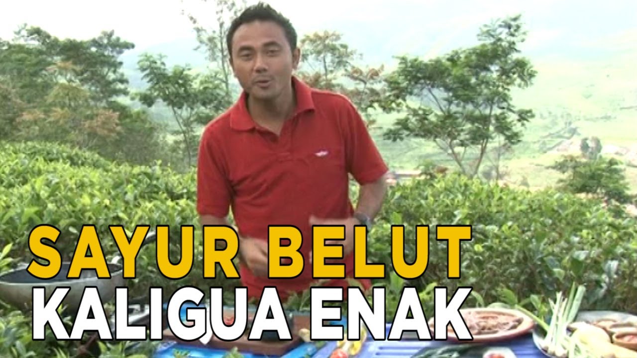 Kenikmatan sayur belut kaligua | HARMONI ALAM