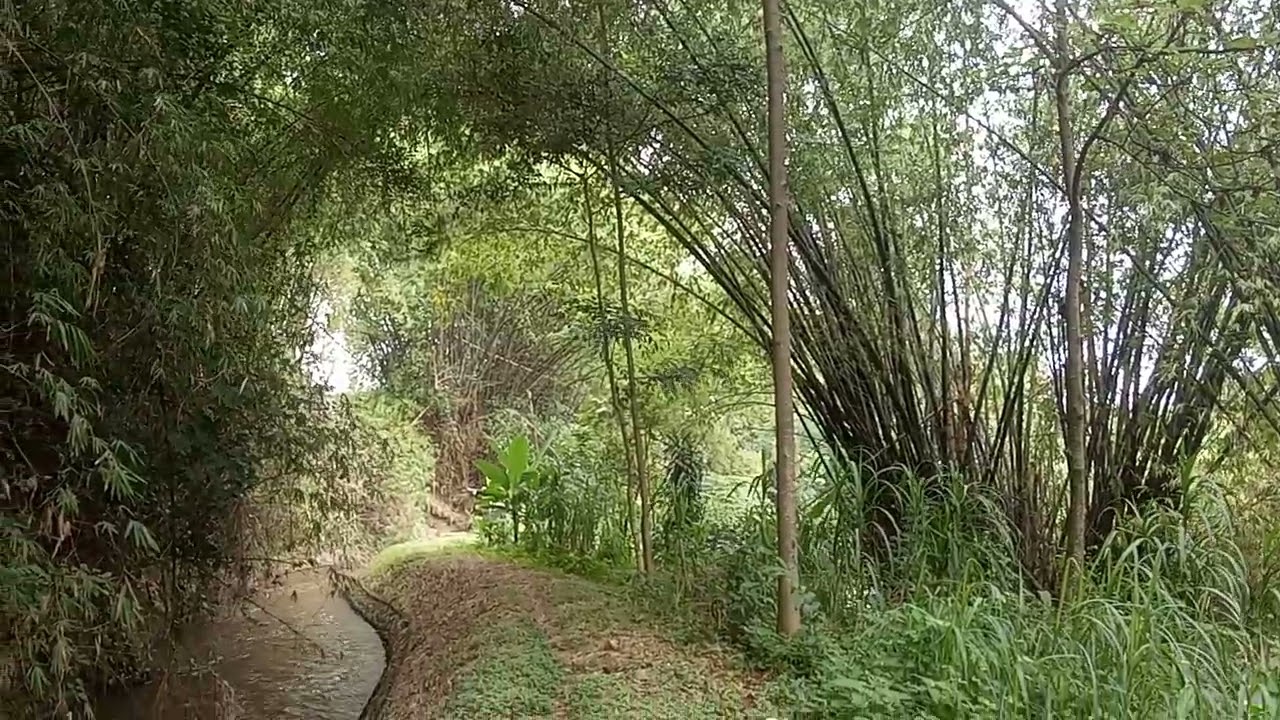 kali lagi deras