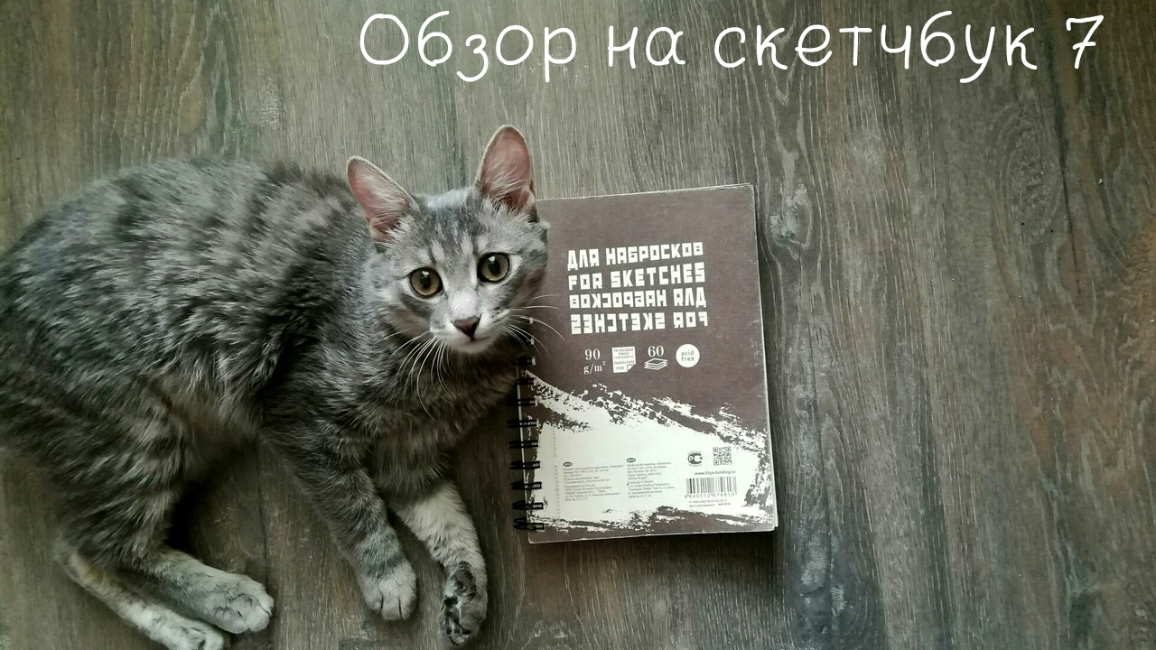 Обзор на скетчбук №7/Sketchbook №7