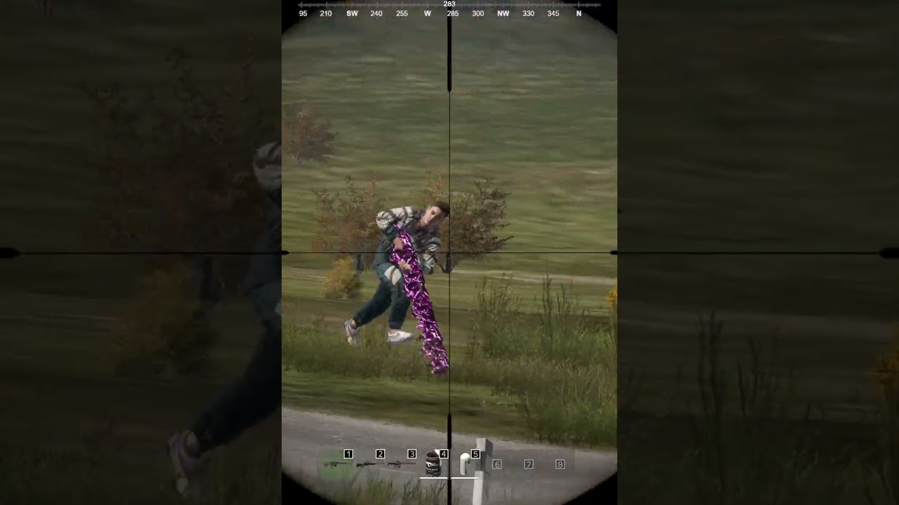Мансер #dayz #dayzmod #gaming #dayzgamers #gameplay
