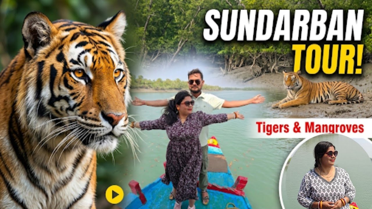 Sunderban wildlife Sanctuary part-2 || sundarban tour 2026.