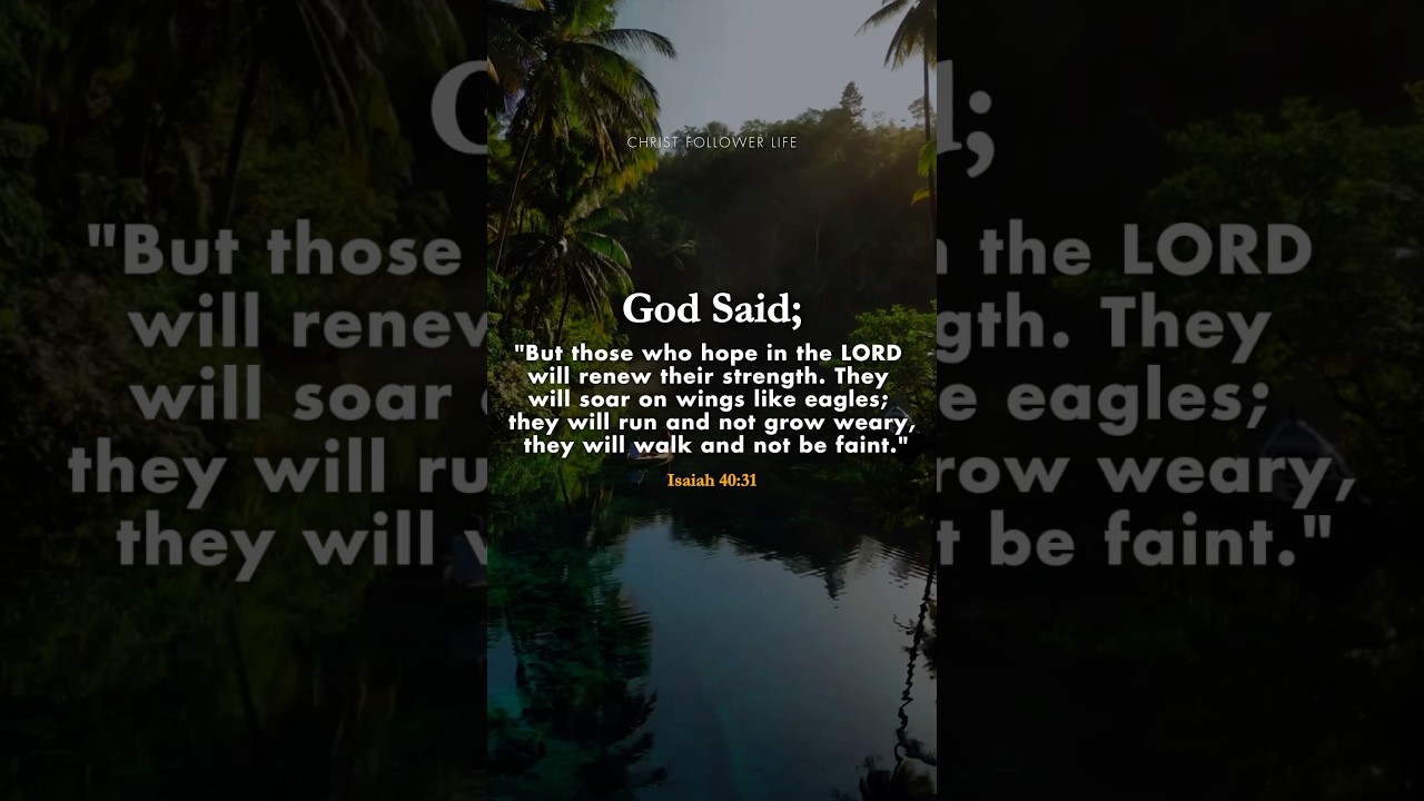 Renewed Strength in the Lord 🙏 Soar on Eagles&rsquo; Wings | Isaiah 40:31 #bibleverses #jesuschrist #lord