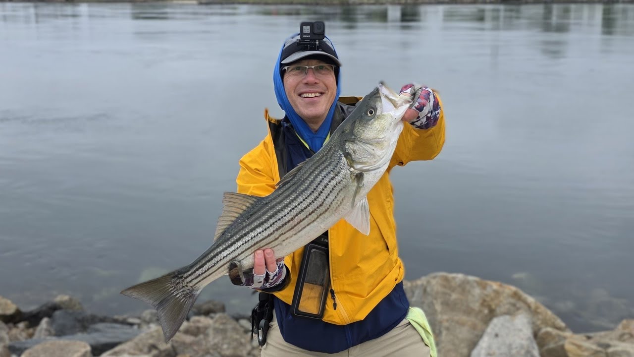 FIRST CAPE COD CANAL STRIPER AND THE FISH THAT GOT AWAY!!!
