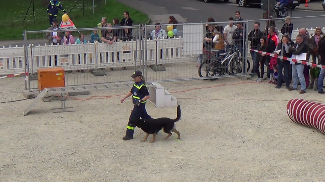 Vorführung THW Rettungshunde - KOMPAS 2016 Sulzbach-Rosenberg