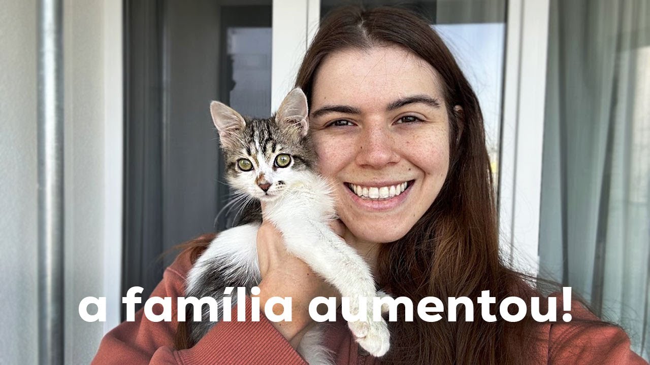 adotei uma gatinha morando na Europa!