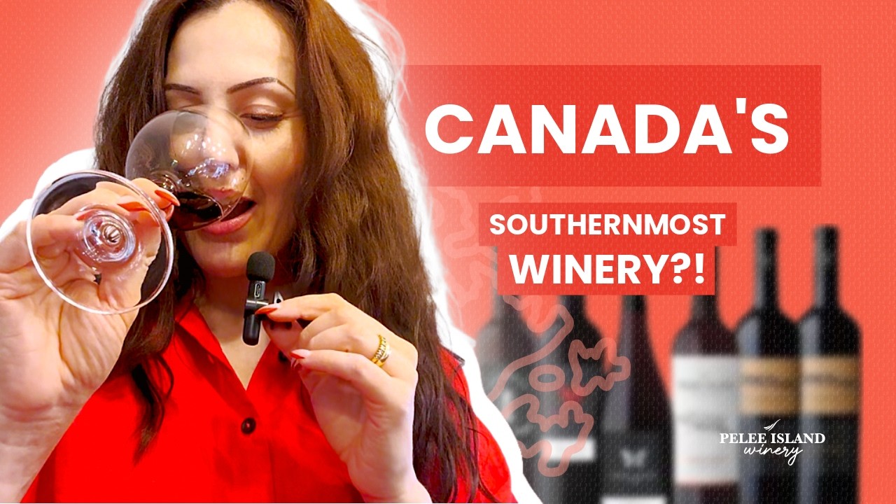 Canada's Southernmost Winery? | Pelee Island explained.