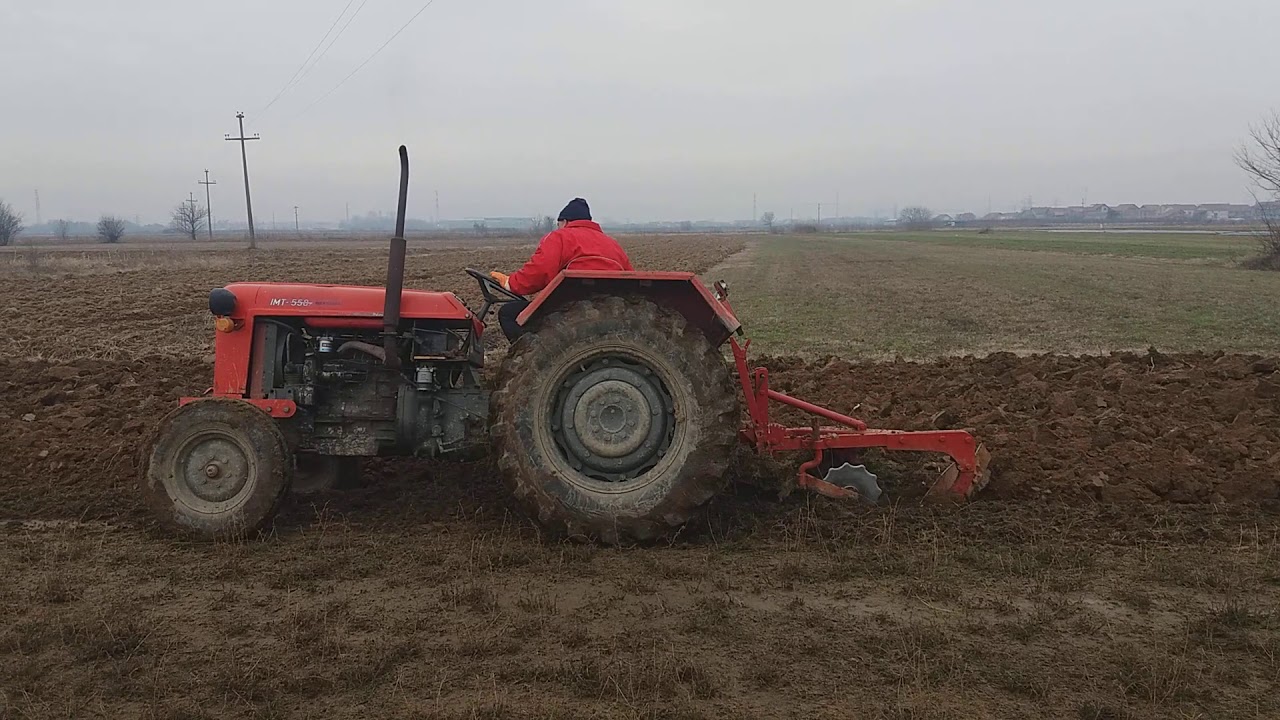 Tesko oranje deteline IMT 558 2020