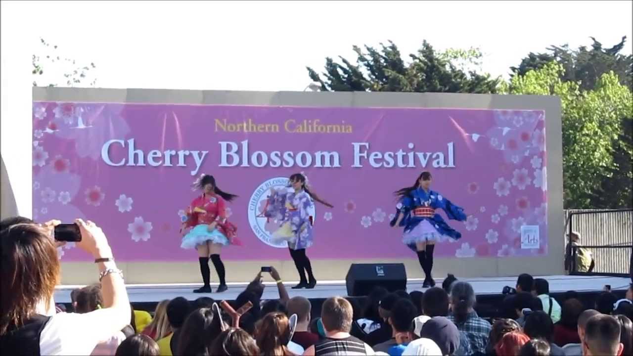 Senbonzakura - Act 1 - Cherry Blossom Festival 2013