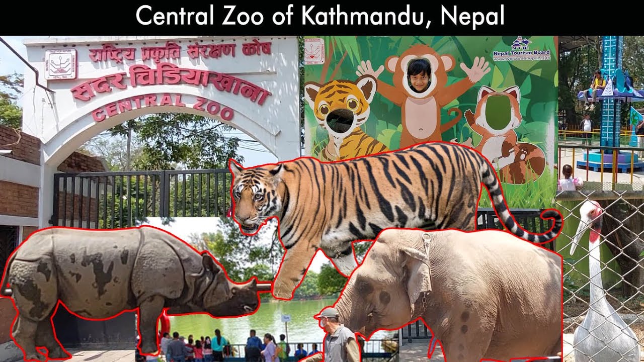 Animal Zoo of Kathmandu Nepal | जावलाखेलको चिडियाखाना  | Animal Zoo | #kathmandu #nepal #kidsvideo