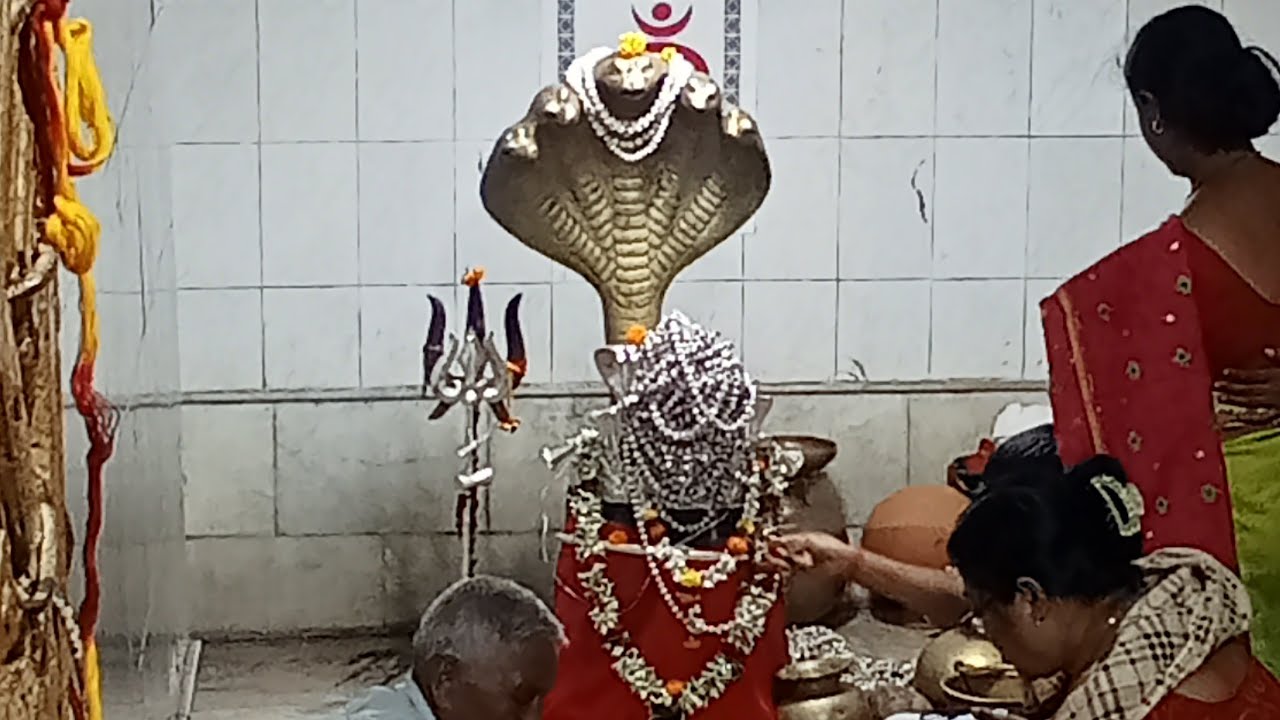 হারা হারা মহাদেব বন্ধুরা জয়েন হয়ে যাও গল্প হবে is live
