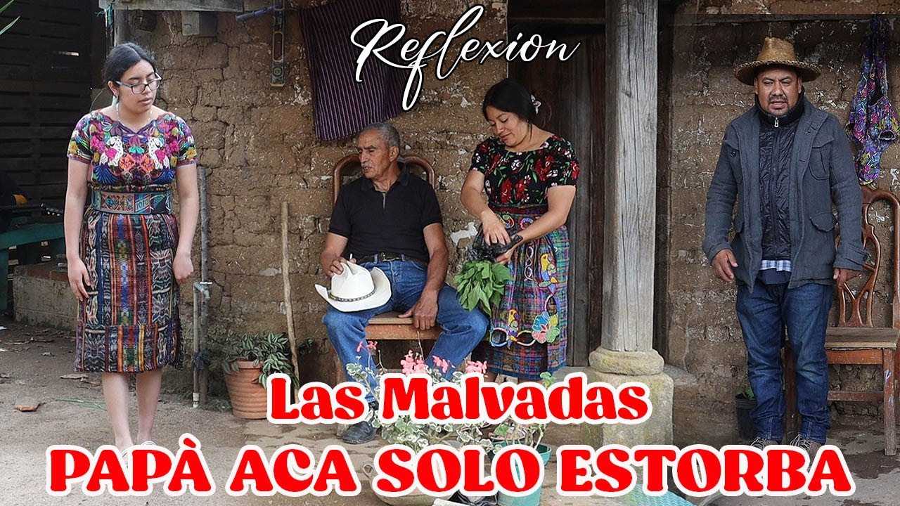 PAPÀ ACA SOLO ESTORBA (Las Malvadas)