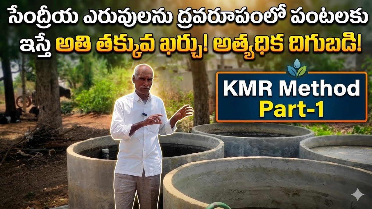 సేంద్రీయ ఎరువులను ద్రవరూపంలో పంటలకు ఇస్తే అతి తక్కువ ఖర్చు అత్యధిక దిగుబడి | KMR Method |Part-1