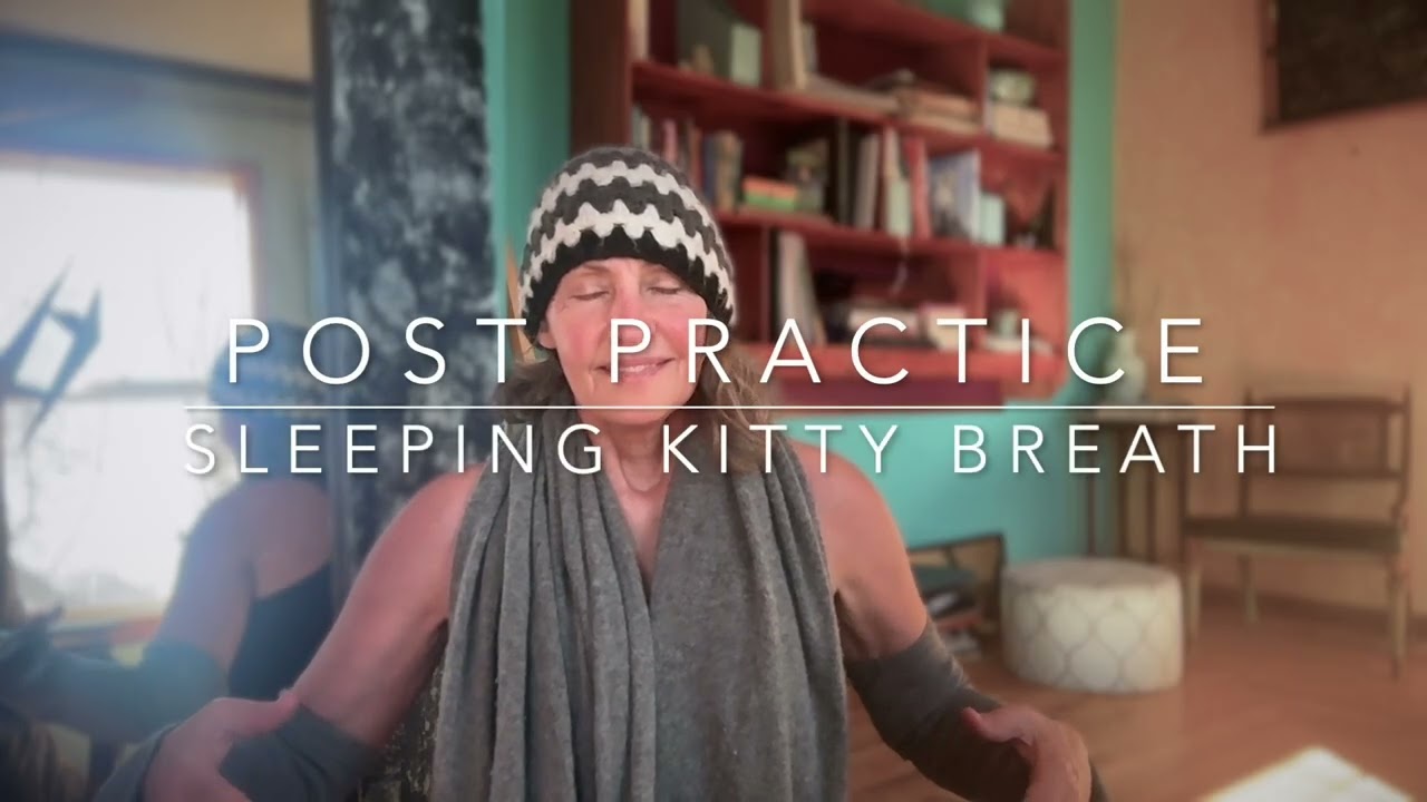 POST PRACTICE SLEEPING KITTY BREATH