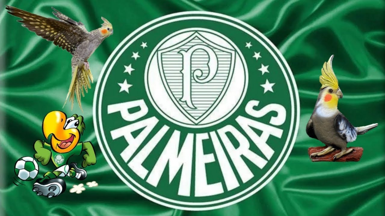 ASSOBIO CALOPSITA - HINO DO PALMEIRAS