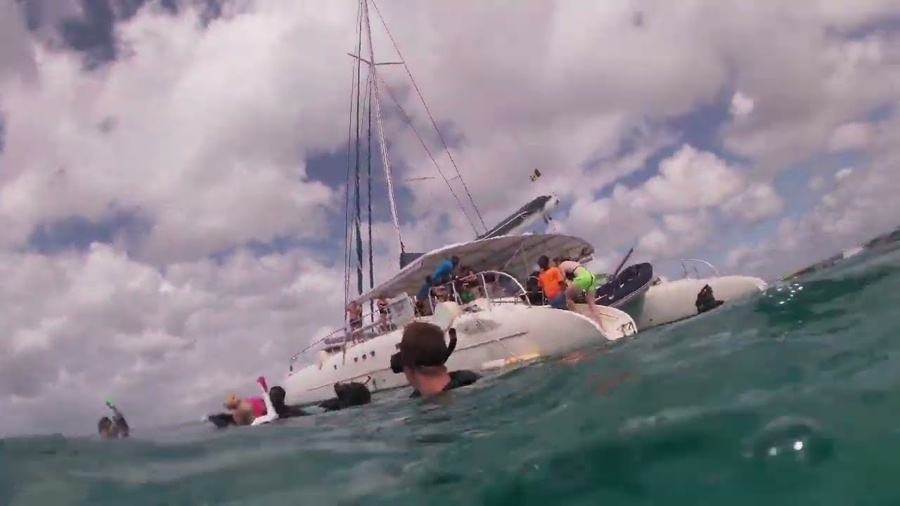 Swimming with Turtles and over  WW2 Shipwrecks In Barbados with my gopro hero 7
