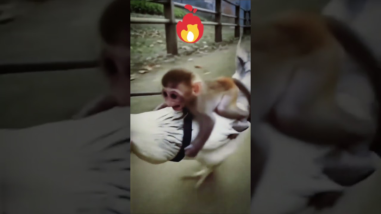#funny