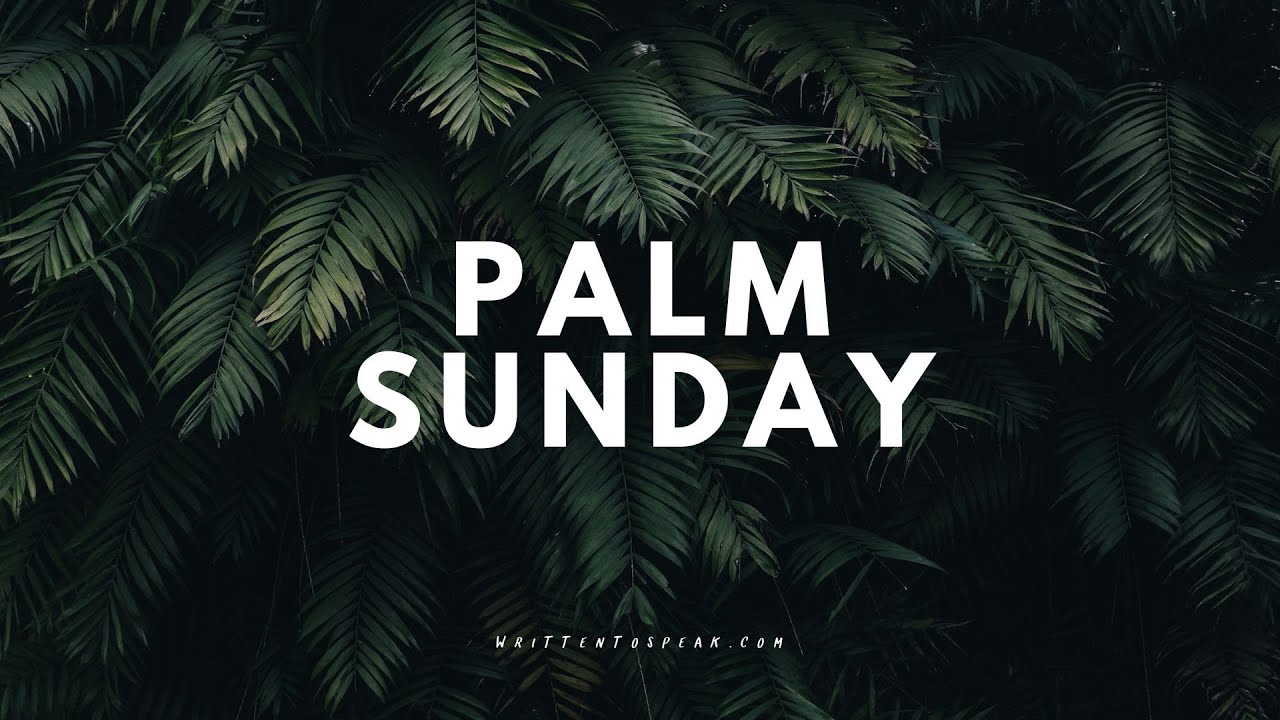 The King by Tanner Olson (A poem for Palm Sunday) (With Text)