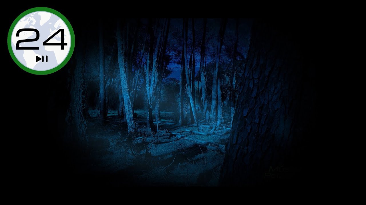 Звук сверчков для сна ⬛🦗 ЧЕРНЫЙ ЭКРАН. Расслабляющие ночные звуки. Щебетание сверчков в лесу