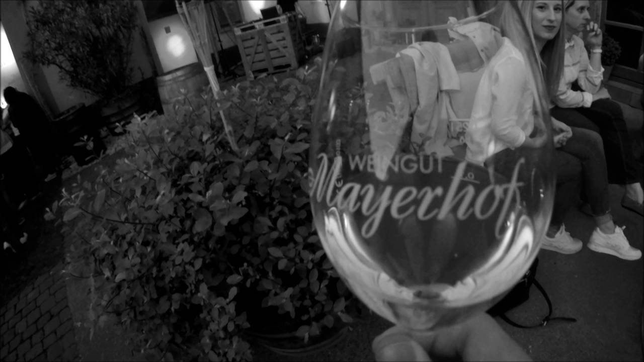 Vinolectro No.1 @ Weingut Mayerhof (May 7, 2016)