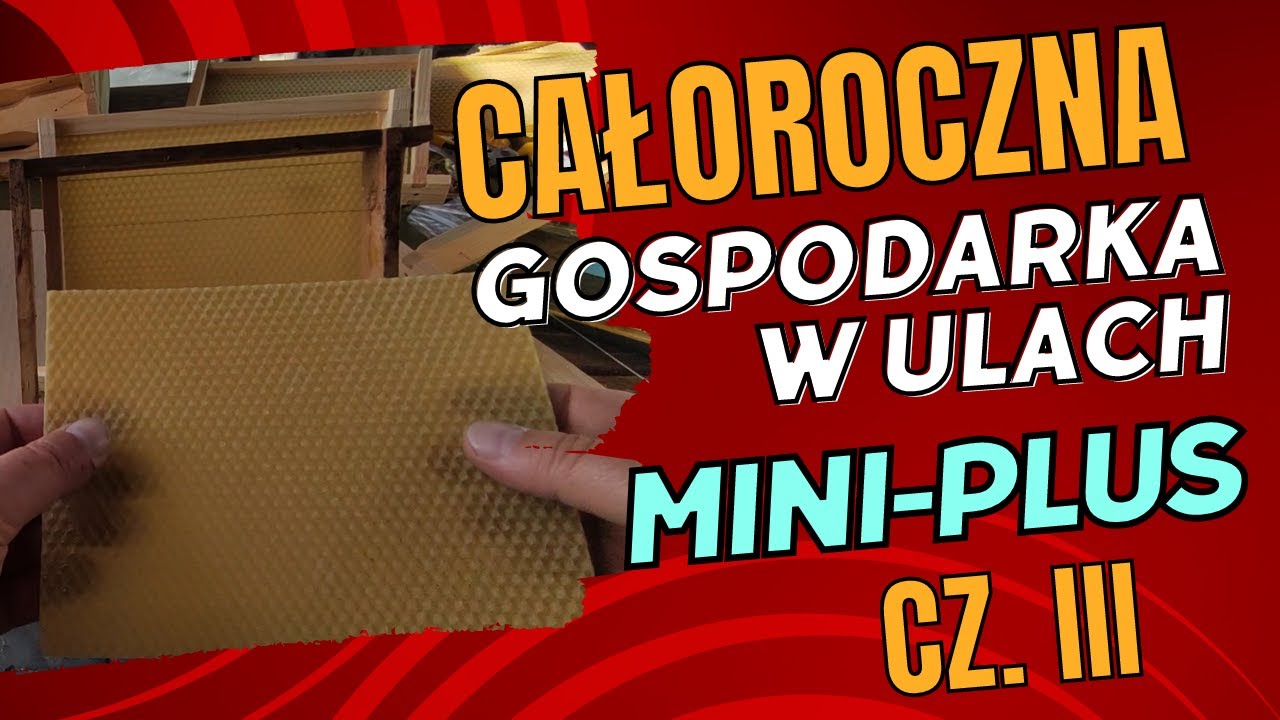 Mini-Plus #3 - Uwaga na ofertę ramek do miniplus&oacute;w!