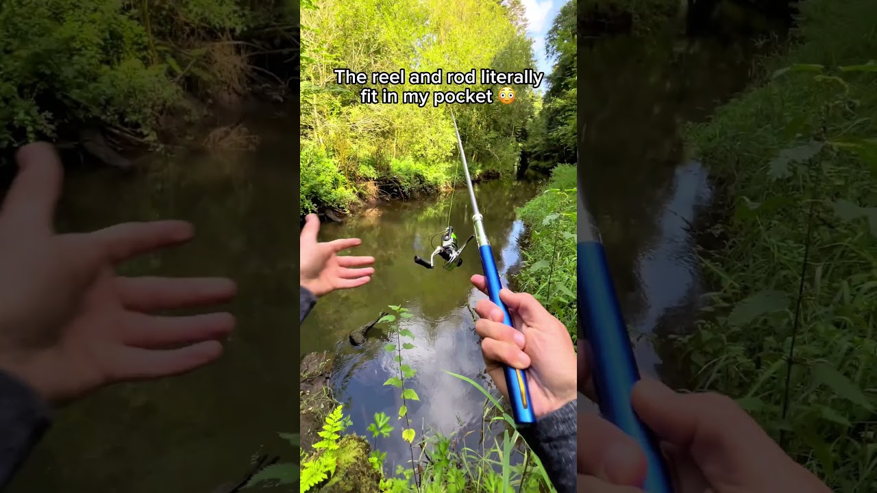 Catching a fish with a PEN... #fishing #fishingchallenge #fishingrod