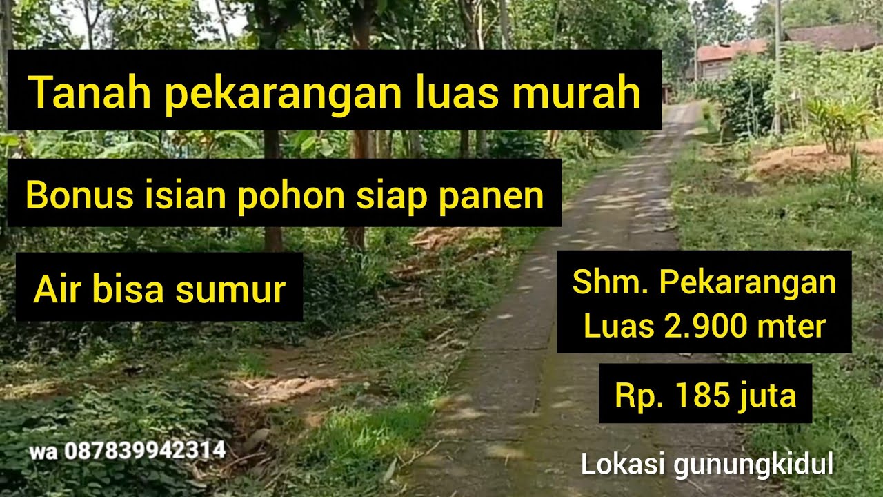 TANAH PEKARANGAN MURAH NEMPEL SUNGAI DAN MASJID LUAS 2.900 HRGA 185 JUTA