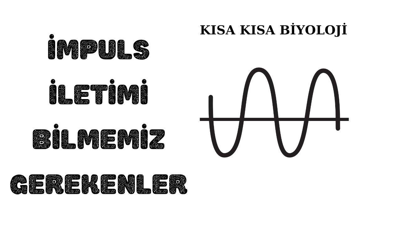 İmpuls İletiminde Kısaca Bilmemiz Gerekenler