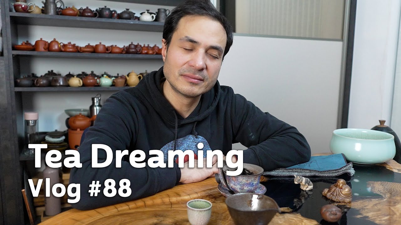 Gushu Liu Bao sends me into Dreamland - RAW Vlog #88
