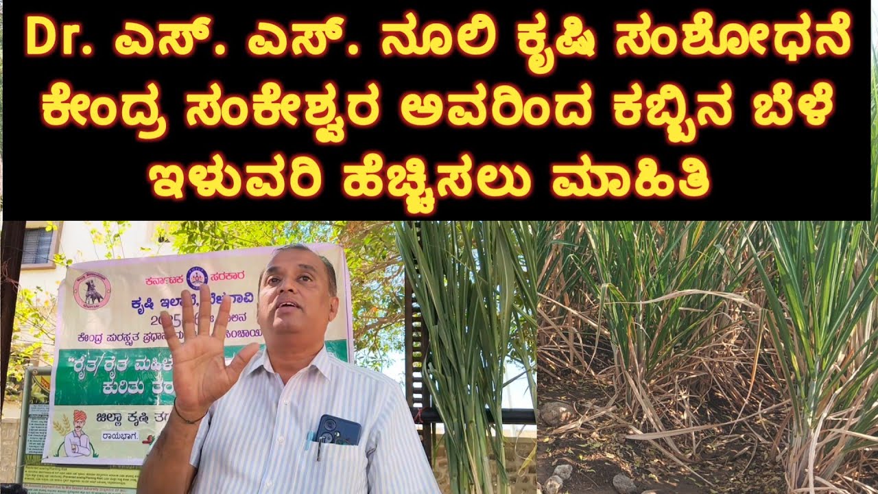 Dr. ಎಸ್. ಎಸ್. ನೂಲಿ ಕೃಷಿ ಸಂಶೋಧನೆ ಕೇಂದ್ರ ಸಂಕೇಶ್ವರ ಅವರಿಂದ ಕಬ್ಬಿನ ಇಳುವರಿ ಹೆಚ್ಚಿಸಲು ಸಂಪೂರ್ಣ ಮಾಹಿತಿ