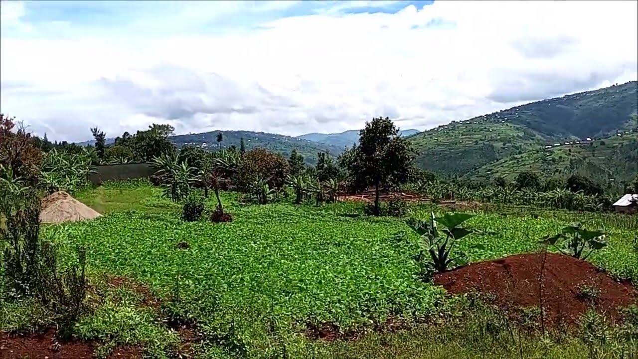 👍👍Own Rwanda Land For Only $3,000