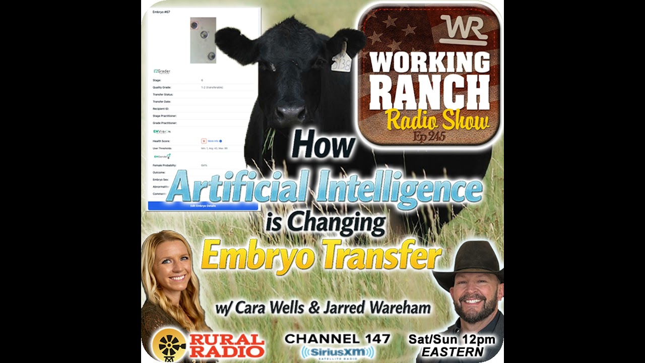 Ep 245: How Artificial Intelligence is Changing Embryo Transfer w/ Cara Wells & Jarred Wareham