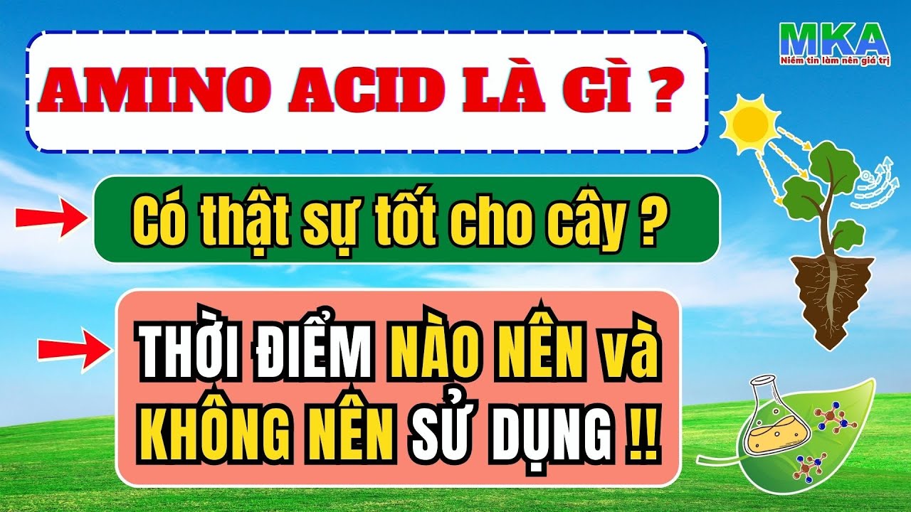 Hiểu tất tần tật về  Amino Acid. Thời điểm nào nên và không nên sử dụng Amino Acid… #aminoacid