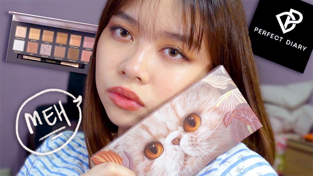 🐱 PERFECT DIARY CAT EXPLORER EYESHADOW PALETTE REVIEW 🐱(honestly, i don't get the hype)