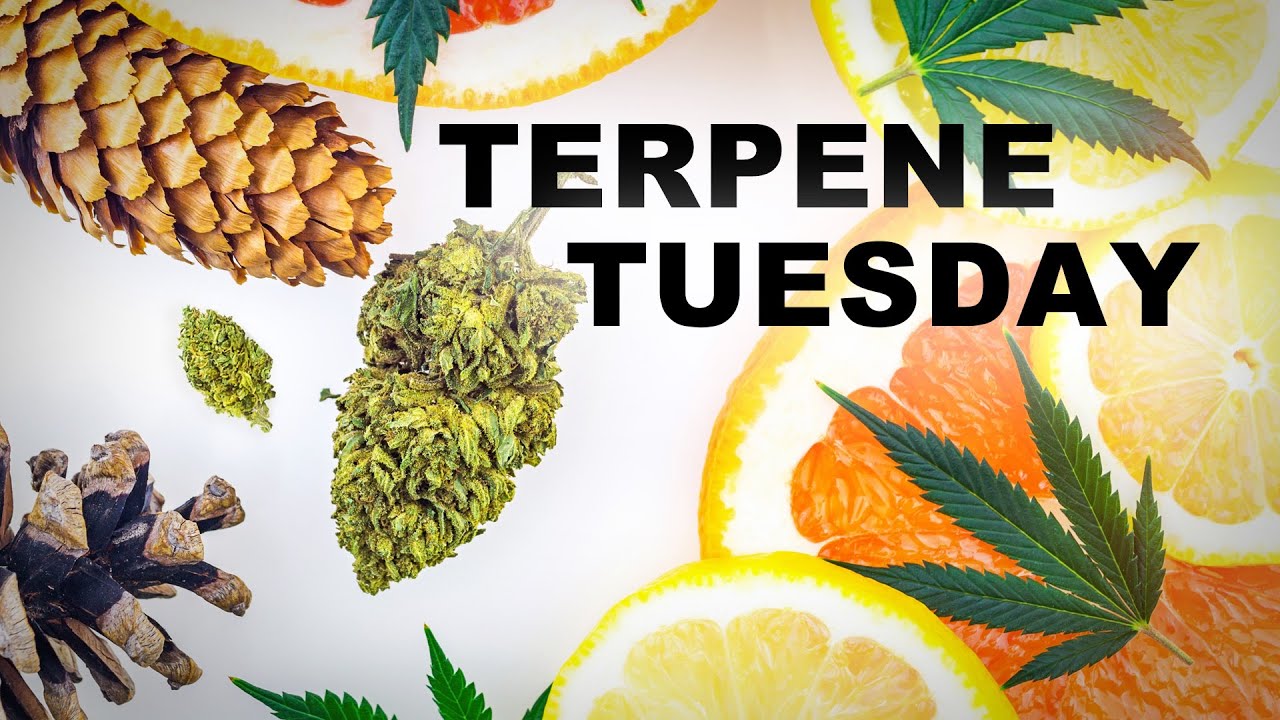Terpene Tuesday
