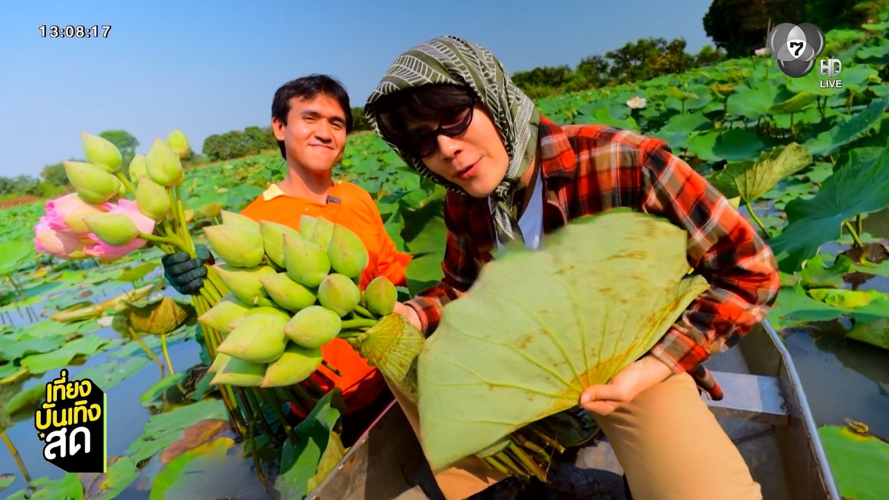 เกษตรสุข เสาร์นี้ จุกบี้-โต๋นแตร ท้าแดดจ้าลุยฟาร์มบัว จ.นนทบุรี